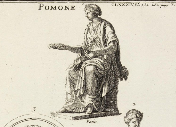 openseadragon-render