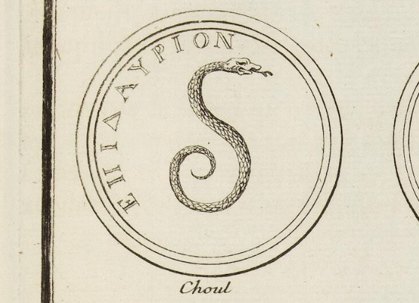 openseadragon-render