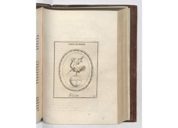 openseadragon-render