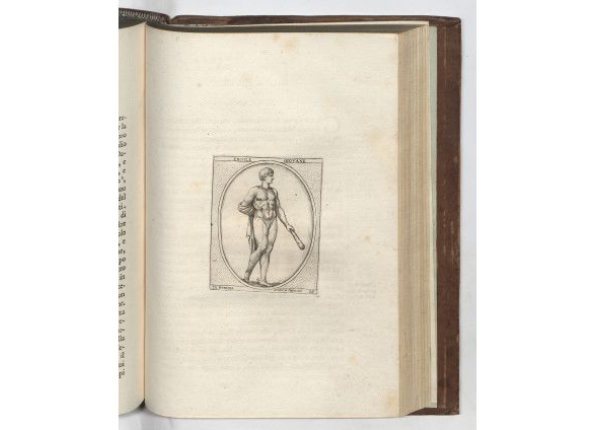 openseadragon-render