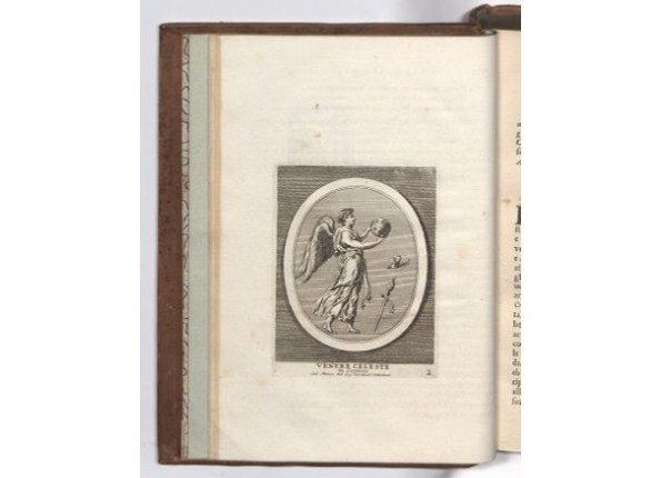 openseadragon-render