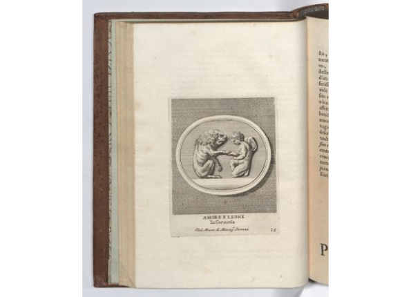 openseadragon-render