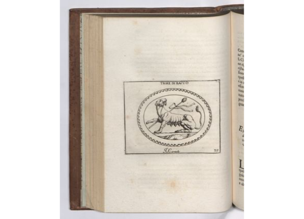 openseadragon-render