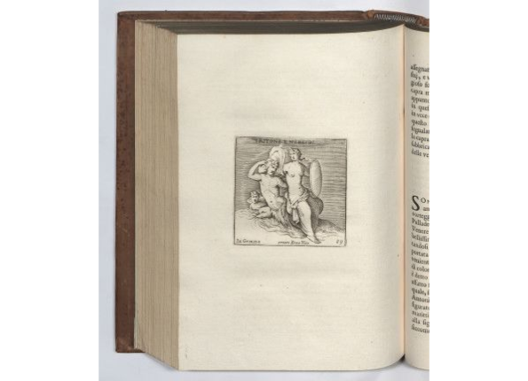 openseadragon-render