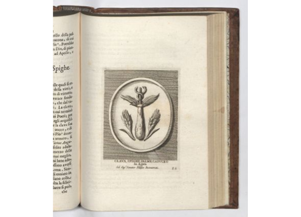 openseadragon-render