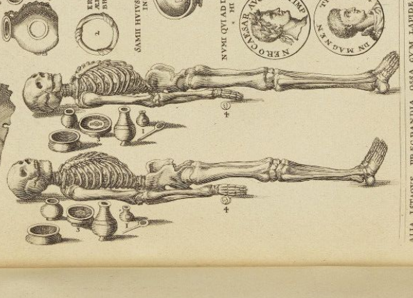 openseadragon-render