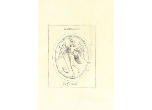 openseadragon-render