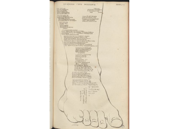 openseadragon-render