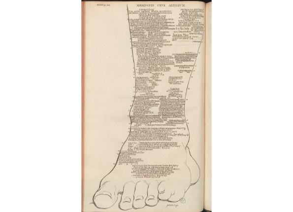 openseadragon-render