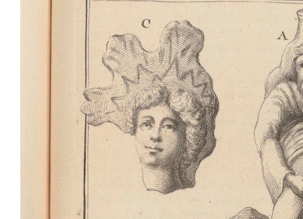 openseadragon-render