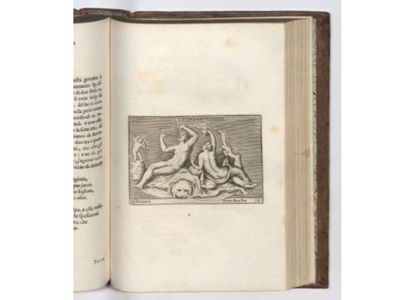 openseadragon-render