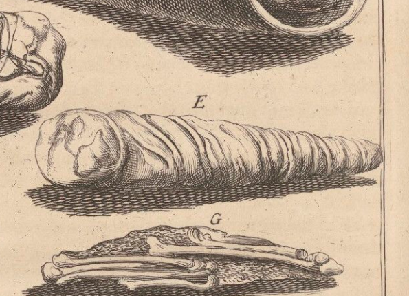 openseadragon-render