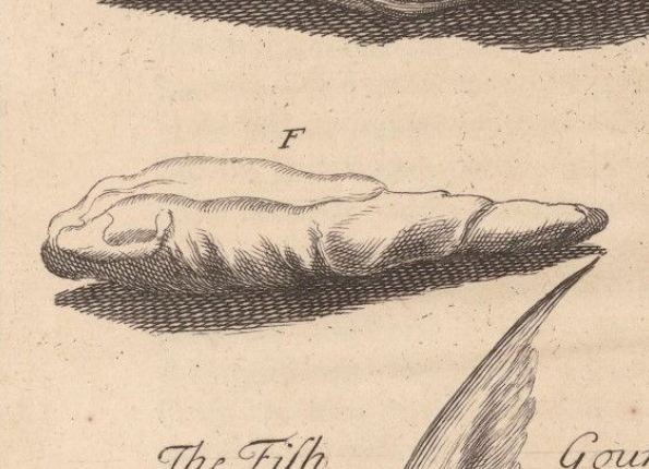 openseadragon-render