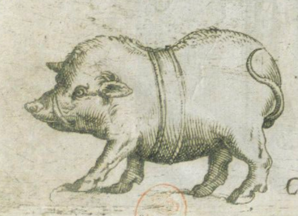 openseadragon-render