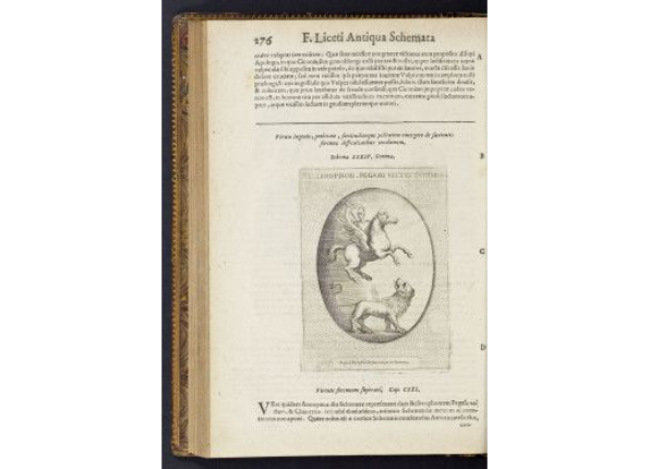 openseadragon-render