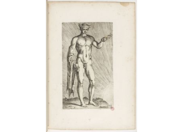 openseadragon-render