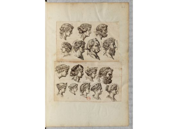 openseadragon-render