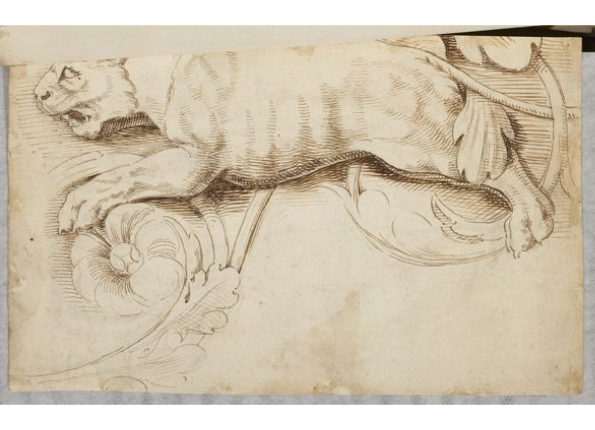 openseadragon-render