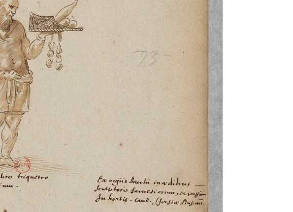 openseadragon-render