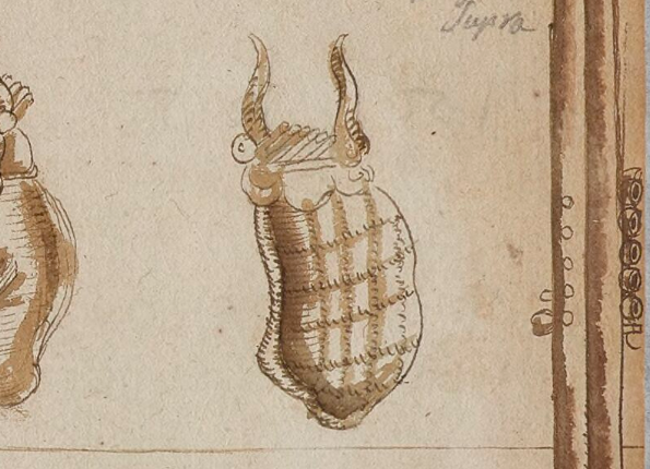 openseadragon-render