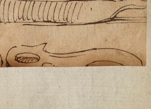 openseadragon-render