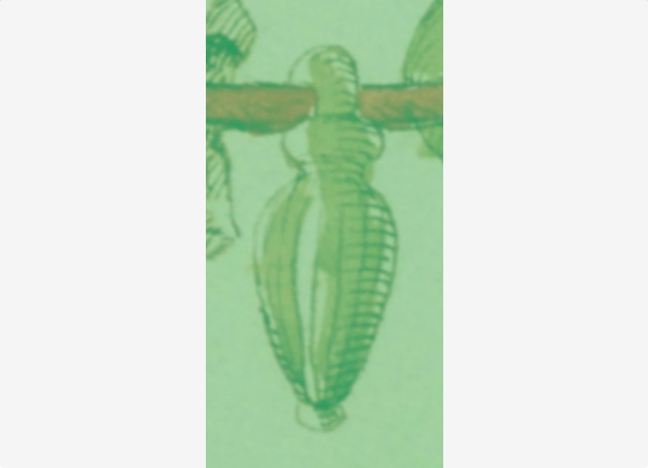 openseadragon-render